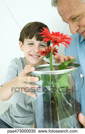 Grandfather and grandson looking at flowers together, both smiling View Large Photo Image Stock Photography - Grandfather and grandson looking at flowers together, both smiling. Fotosearch