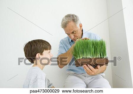 Man holding fake grass and talking with grandson, both smiling View Large Photo Image Stock Photo - Man holding fake grass and talking with grandson, both smiling. Fotosearch