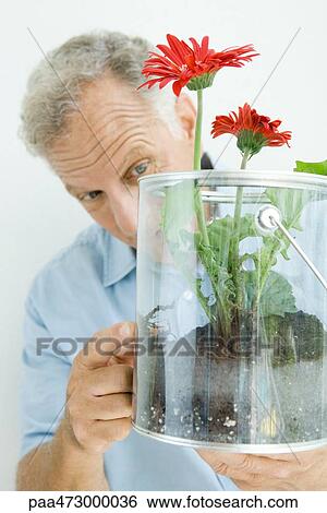 Stock Photograph - Mature man looking and pointing at flowers growing in bucket. Fotosearch