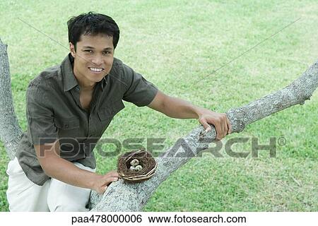Man sitting in tree next to bird's nest View Large Photo Image Stock Photograph - Man sitting in tree next to bird's nest. Fotosearch