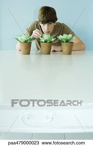 Boy leaning toward potting plants, looking at camera View Large Photo Image Stock Image - Boy leaning toward potting plants, looking at camera. Fotosearch
