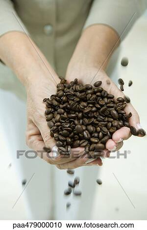 Woman's hands holding coffee beans, cropped View Large Photo Image Stock Image - Woman's hands holding coffee beans, cropped. Fotosearch