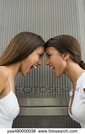 Twin sisters face to face, touching foreheads, mouths open, side view View Large Photo Image Stock Photo - Twin sisters face to face, touching foreheads, mouths open, side view. Fotosearch