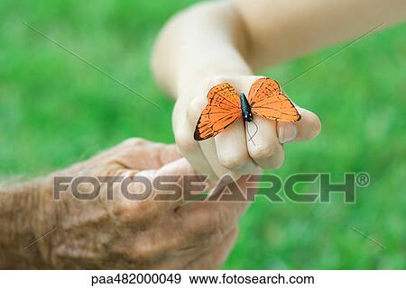 Child with butterfly on hand, holding man's finger View Large Photo Image Stock Photo - Child with butterfly on hand, holding man's finger. Fotosearch