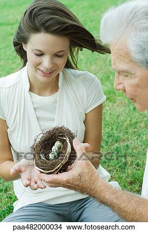Grandfather and teen granddaughter looking at bird's nest together, cropped view View Large Photo Image Picture - Grandfather and teen granddaughter looking at bird's nest together, cropped view. Fotosearch