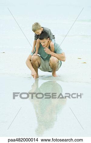 Picture - Man crouching at the beach, holding son on shoulders, pointing at shallow water. Fotosearch