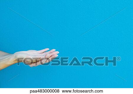 Cupped hands in front of blue wall, cropped view View Large Photo Image Stock Photo - Cupped hands in front of blue wall, cropped view. Fotosearch