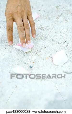 Stock Photo - Hand touching petals scattered on sand, close-up. Fotosearch
