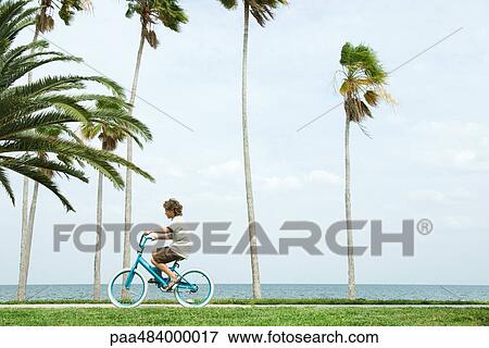 Stock Photo - Boy riding bicycle beside palm trees, side view. Fotosearch