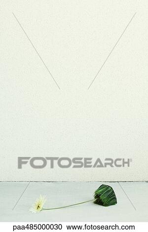 Artificial flower knocked over View Large Photo Image Stock Image - Artificial flower knocked over. Fotosearch