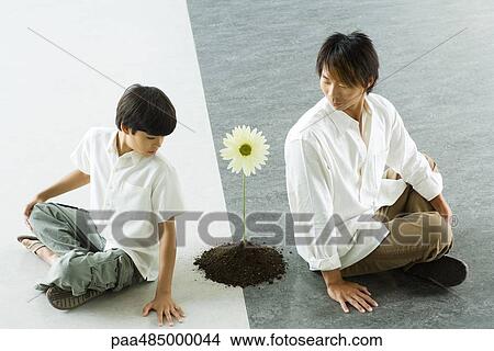 Boy and man sitting back to back, looking over shoulders at a single flower between them View Large Photo Image Picture - Boy and man sitting back to back, looking over shoulders at a single flower between them. Fotosearch