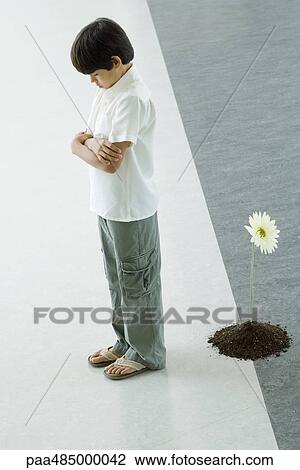 Boy standing with back turned to flower View Large Photo Image Stock Image - Boy standing with back turned to flower. Fotosearch