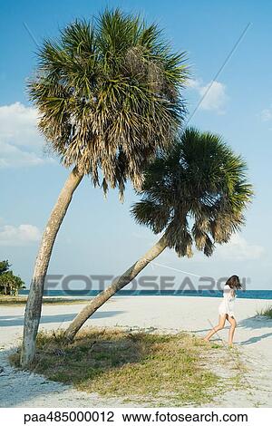 Woman pulling palm tree with rope View Large Photo Image Stock Image - Woman pulling palm tree with rope. Fotosearch