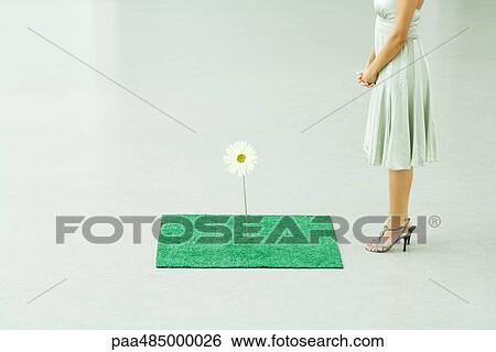 Woman standing by square of artificial turf with fake flower, chest down View Large Photo Image Stock Photograph - Woman standing by square of artificial turf with fake flower, chest down. Fotosearch