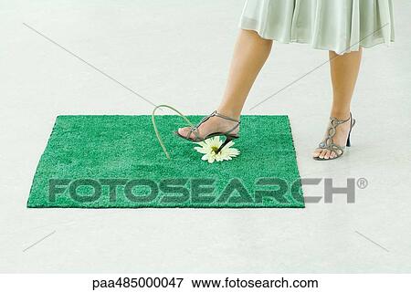 Woman sticking heel into flower on square of artificial turf, low section View Large Photo Image Stock Photo - Woman sticking heel into flower on square of artificial turf, low section. Fotosearch