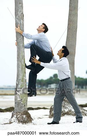 Businessman helping associate climb tree trunk, side view View Large Photo Image Stock Image - Businessman helping associate climb tree trunk, side view. Fotosearch