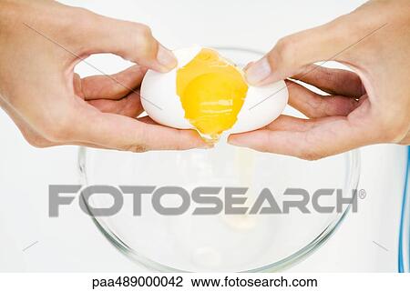 Stock Image - Woman cracking egg into mixing bowl, cropped view of hands, high angle view. Fotosearch