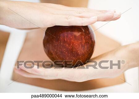Woman holding apple between hands, close-up, cropped view View Large Photo Image Picture - Woman holding apple between hands, close-up, cropped view. Fotosearch