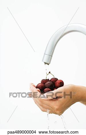 Woman rinsing handful of cherries under faucet, cropped view of hands View Large Photo Image Picture - Woman rinsing handful of cherries under faucet, cropped view of hands. Fotosearch