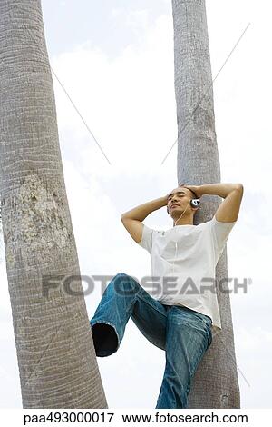 Man leaning against palm tree, eyes closed, listening to headphones View Large Photo Image Stock Photo - Man leaning against palm tree, eyes closed, listening to headphones. Fotosearch