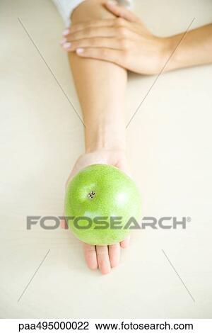 Apple resting in a woman's palm, high angle view View Large Photo Image Stock Image - Apple resting in a woman's palm, high angle view. Fotosearch