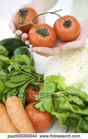Picture - Hands holding vine tomatoes, assorted fresh vegetables in foreground. Fotosearch