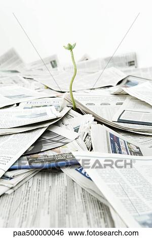 Stock Photograph - Plant growing out of pile of newspapers. Fotosearch