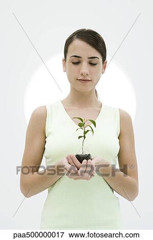 Woman holding potted seedling, looking down View Large Photo Image Stock Photo - Woman holding potted seedling, looking down. Fotosearch