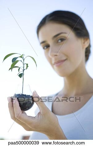 Woman holding potted seedling, smiling at camera, focus on foreground View Large Photo Image Stock Photo - Woman holding potted seedling, smiling at camera, focus on foreground. Fotosearch