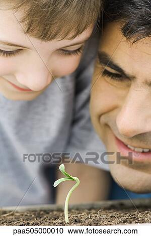 Father and son looking at plant seedling together, close-up View Large Photo Image Stock Image - Father and son looking at plant seedling together, close-up. Fotosearch