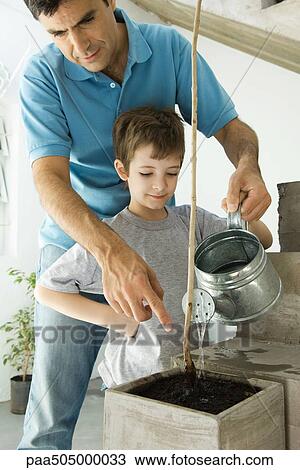 Father and son watering plant together View Large Photo Image Stock Image - Father and son watering plant together. Fotosearch
