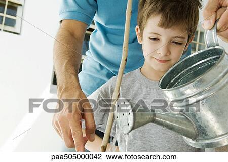 Stock Image - Father and son watering plant together, cropped view. Fotosearch