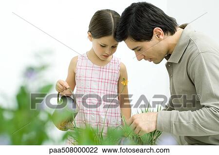 Father and girl looking at plants together, girl holding watering can View Large Photo Image Stock Image - Father and girl looking at plants together, girl holding watering can. Fotosearch