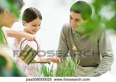 Girl watering plants, parents watching, all smiling View Large Photo Image Stock Photography - Girl watering plants, parents watching, all smiling. Fotosearch