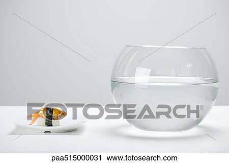 Goldfish prepared as nigiri sushi and empty fishbowl View Large Photo Image Stock Image - Goldfish prepared as nigiri sushi and empty fishbowl. Fotosearch
