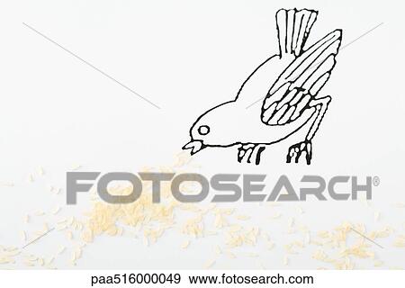 Stock Photo - Bird pecking at rice. Fotosearch