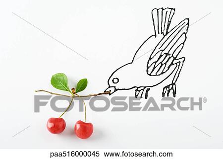 Drawing of bird carrying ripe cherries View Large Photo Image Stock Photography - Drawing of bird carrying ripe cherries. Fotosearch