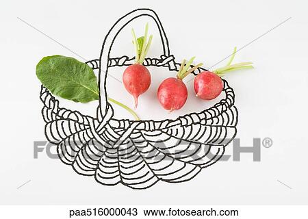Stock Image - Fresh radishes in drawing of basket. Fotosearch