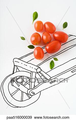 Stock Photo - Roma tomatoes and basil leaves on drawing of cart. Fotosearch