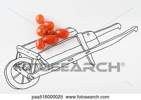 Stock Photography - Tomatoes on drawing of cart. Fotosearch