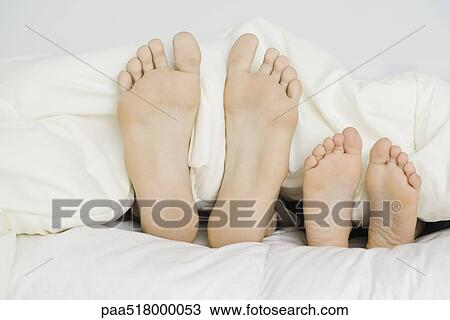 Stock Image - Parent and child's bare feet sticking out from under comforter, close-up. Fotosearch