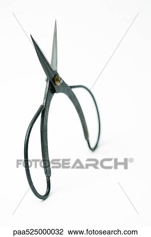Root pruning scissors, close-up View Large Photo Image Stock Image - Root pruning scissors, close-up. Fotosearch