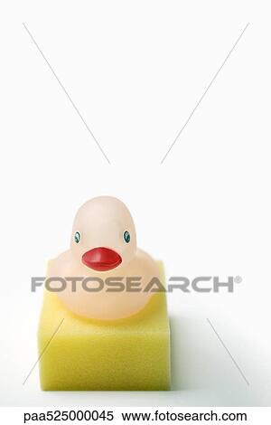 Rubber duck resting on sponge View Large Photo Image Stock Photography - Rubber duck resting on sponge. Fotosearch