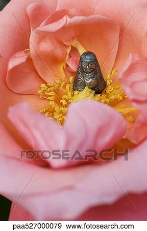 Stock Photo - Miniature Buddha sitting in center of flower. Fotosearch