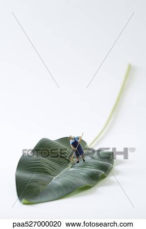 Miniature cleaning lady sweeping leaf View Large Photo Image Stock Image - Miniature cleaning lady sweeping leaf. Fotosearch