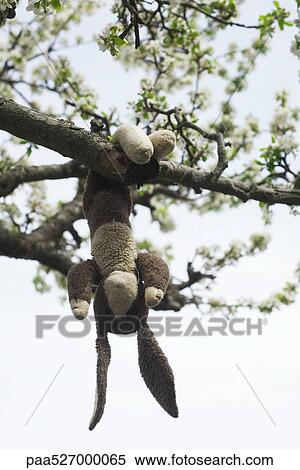 Stock Photography - Stuffed rabbit hanging upside down on tree branch. Fotosearch