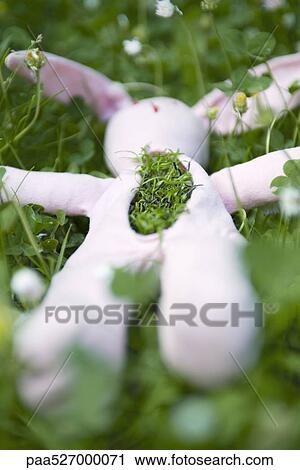 Stock Image - Stuffed rabbit lying on the ground with grass growing out of its chest. Fotosearch