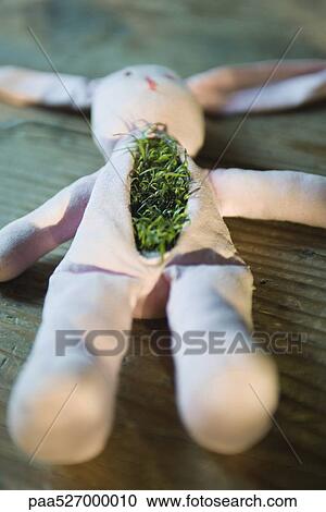 Stuffed rabbit with grass growing out of its chest View Large Photo Image Stock Image - Stuffed rabbit with grass growing out of its chest. Fotosearch