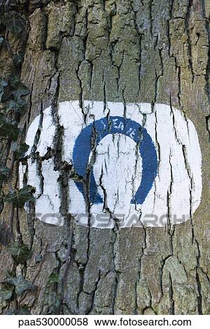 Stock Photo - Tree trunk with horseshoe shape painted on it. Fotosearch