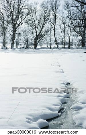 Stock Photograph - Winter landscape, snowy field in foreground, line of trees in background. Fotosearch